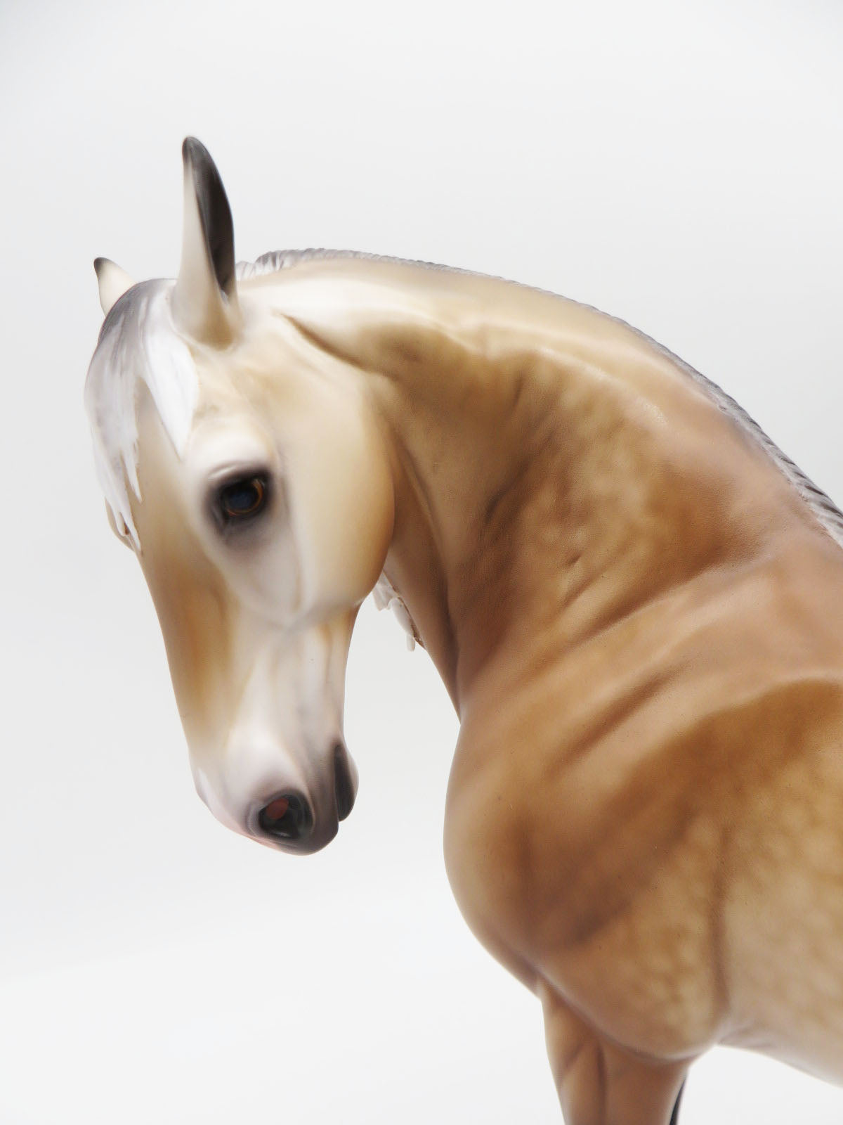 Rockenfield - OOAK Buckskin Going Grey Andalusian By Caroline Boydston BEST OFFER SHCF23