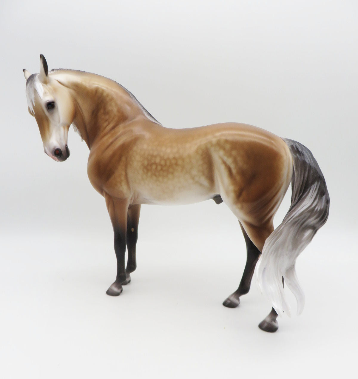 Rockenfield - OOAK Buckskin Going Grey Andalusian By Caroline Boydston BEST OFFER SHCF23