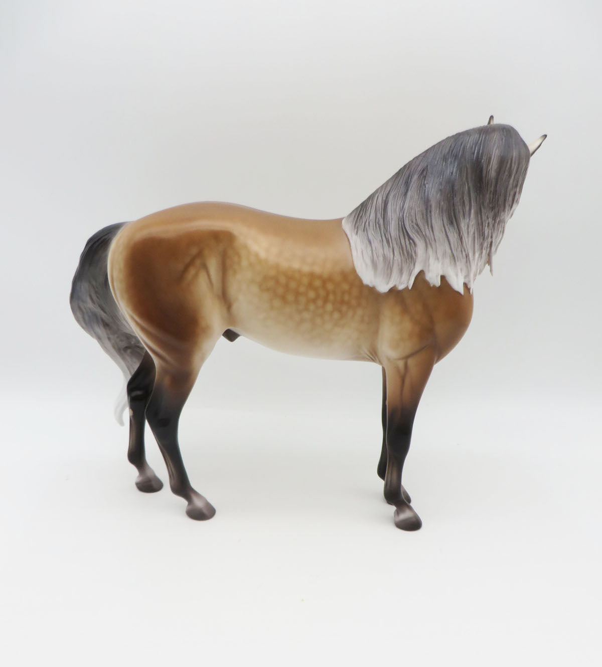 Rockenfield - OOAK Buckskin Going Grey Andalusian By Caroline Boydston BEST OFFER SHCF23