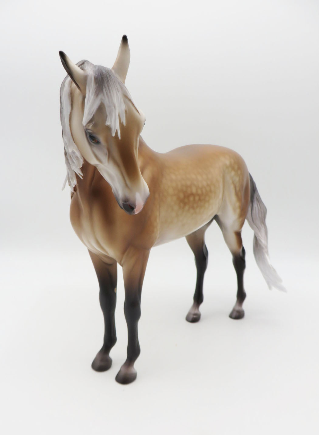 Rockenfield - OOAK Buckskin Going Grey Andalusian By Caroline Boydston BEST OFFER SHCF23