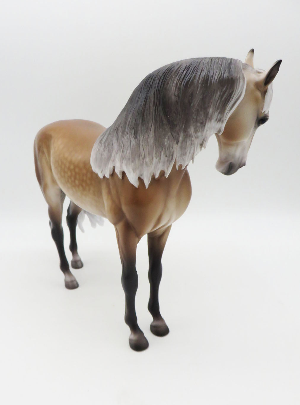 Rockenfield - OOAK Buckskin Going Grey Andalusian By Caroline Boydston BEST OFFER SHCF23