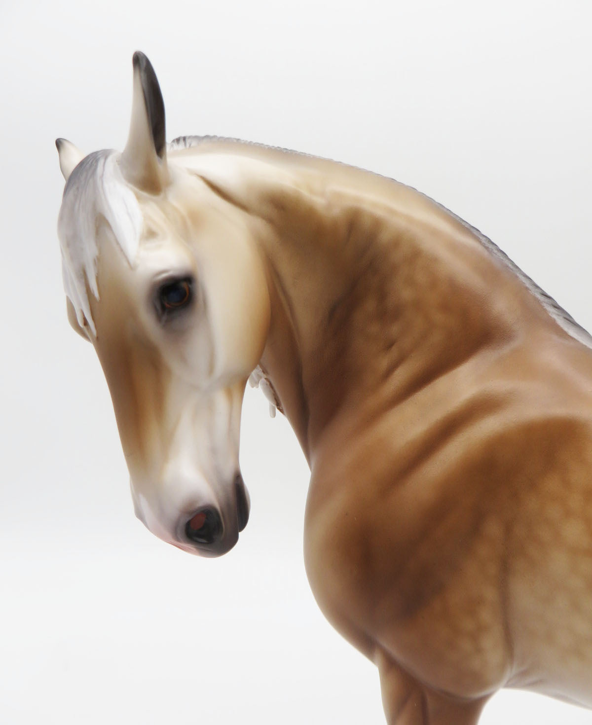 Rockenfield - OOAK Buckskin Going Grey Andalusian By Caroline Boydston BEST OFFER SHCF23