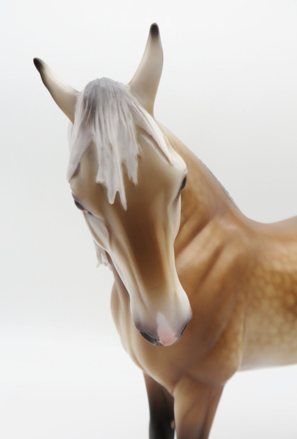 Rockenfield - OOAK Buckskin Going Grey Andalusian By Caroline Boydston BEST OFFER SHCF23