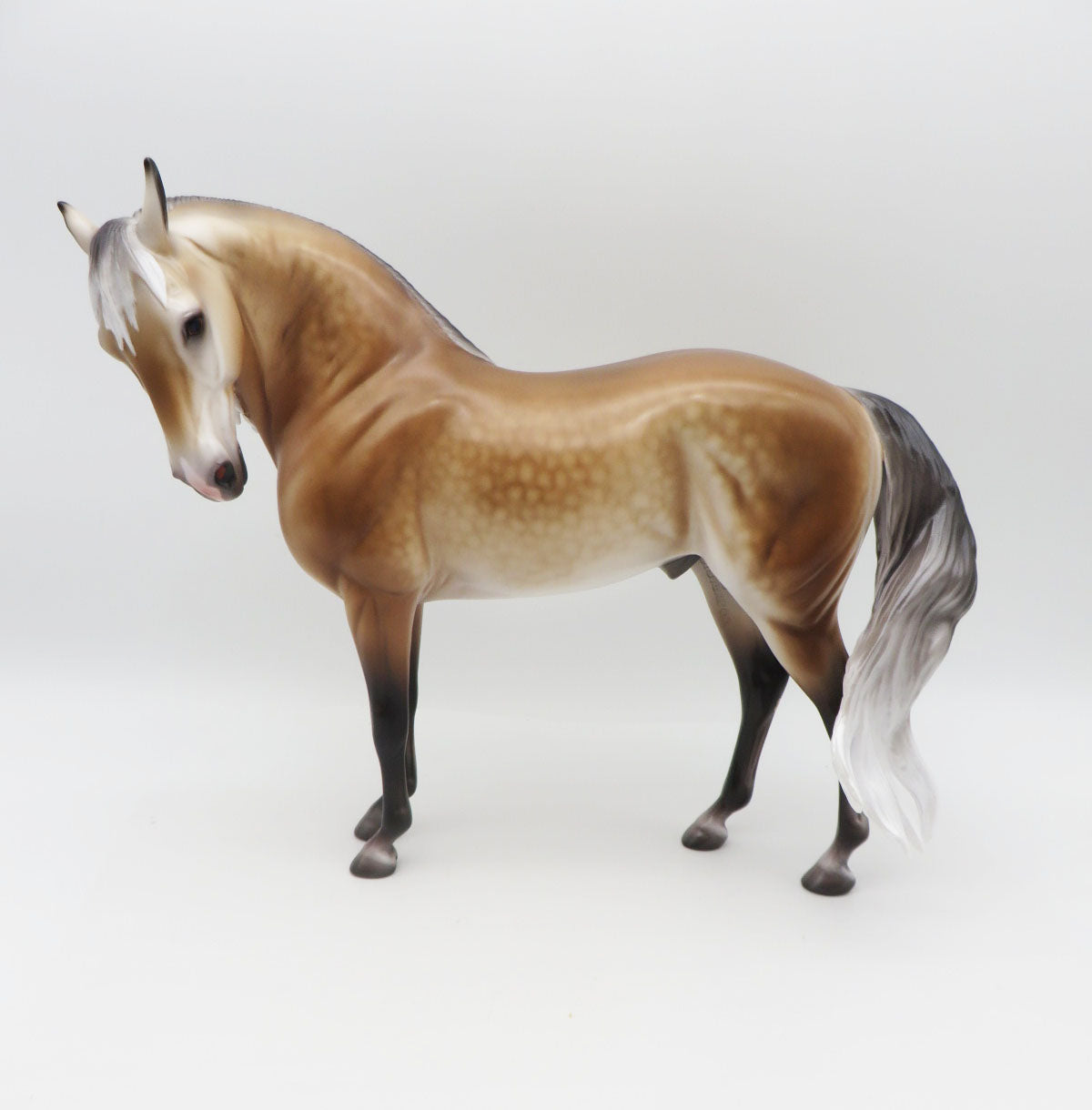 Rockenfield - OOAK Buckskin Going Grey Andalusian By Caroline Boydston BEST OFFER SHCF23