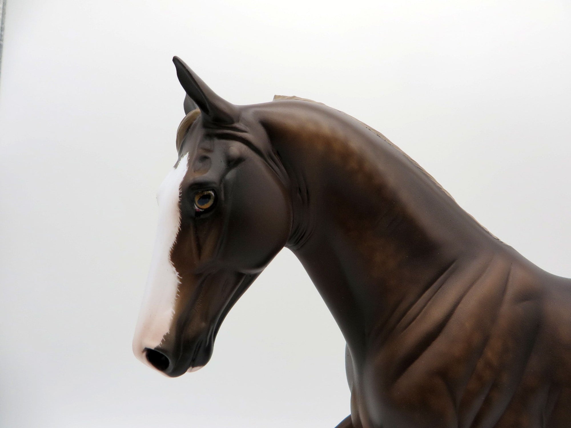 Roland-OOAK Chestnut TWH Painted By Sheryl Leisure 5/17/21