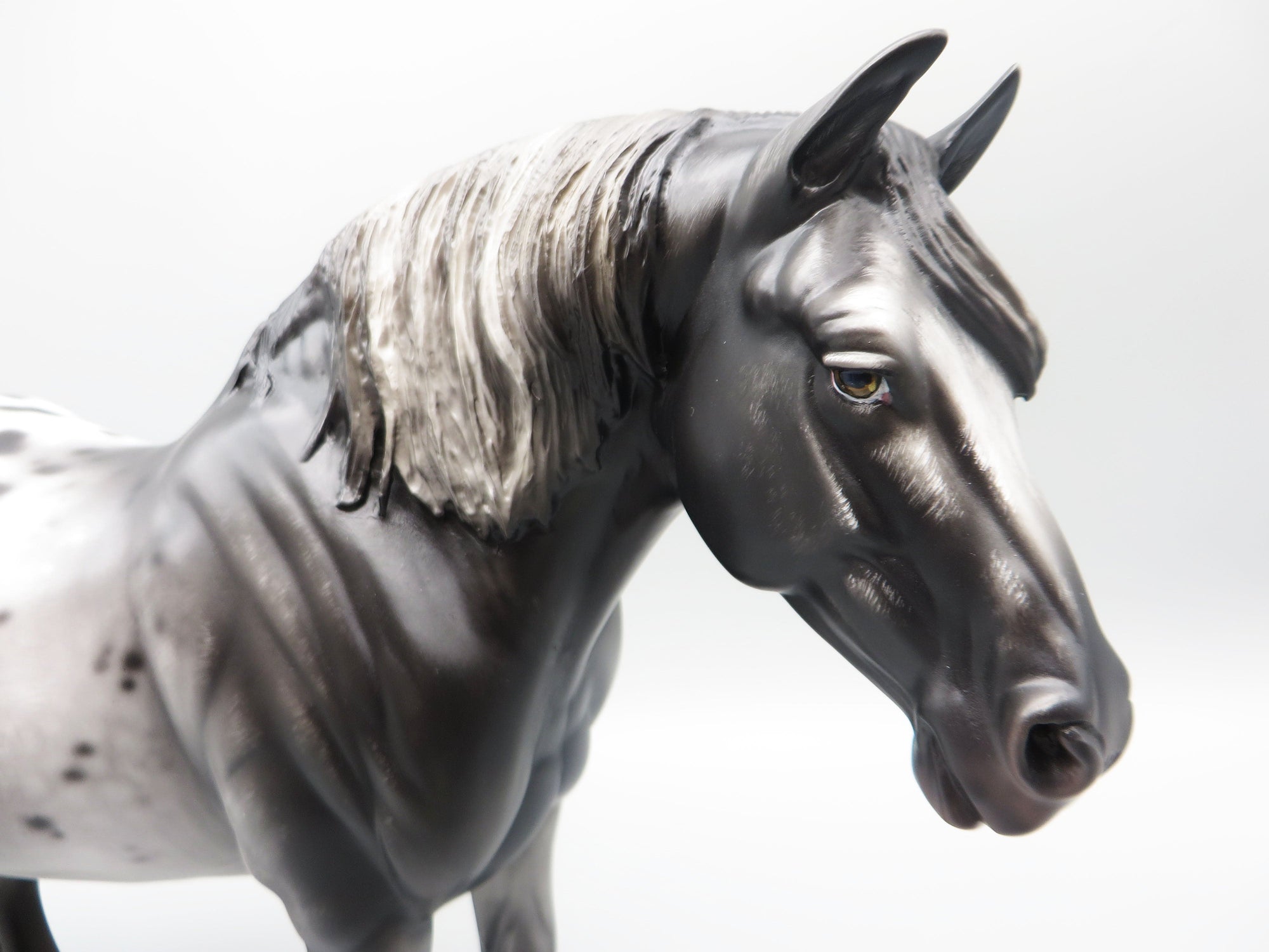 Rom - OOAK - Sugarbush Black Appaloosa Heavy Draft By Jess Hamill - Best Offer 5/30/23