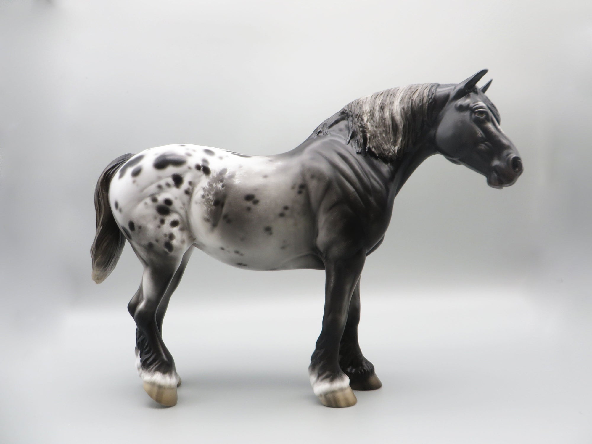 Rom - OOAK - Sugarbush Black Appaloosa Heavy Draft By Jess Hamill - Best Offer 5/30/23