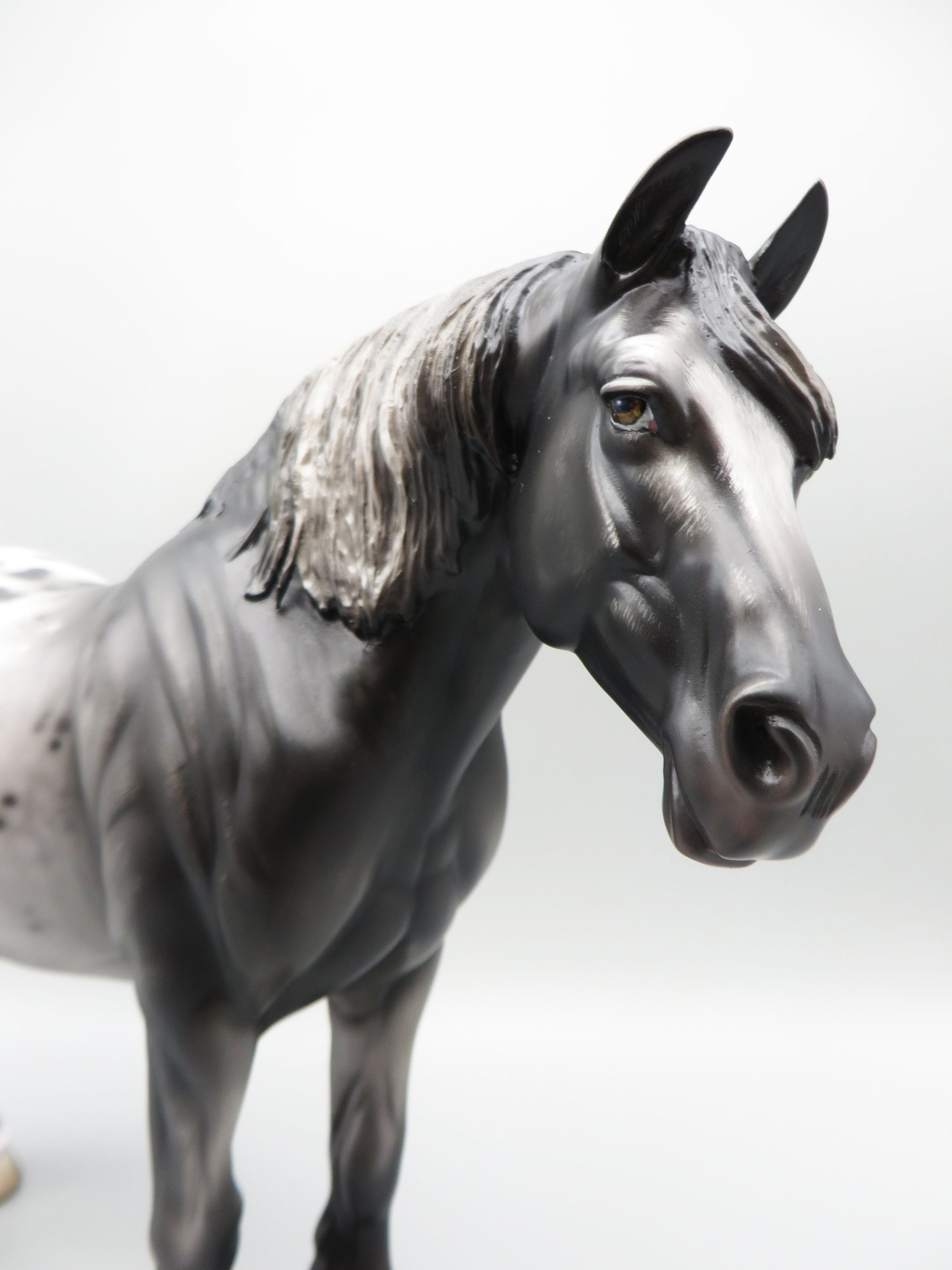 Rom - OOAK - Sugarbush Black Appaloosa Heavy Draft By Jess Hamill - Best Offer 5/30/23