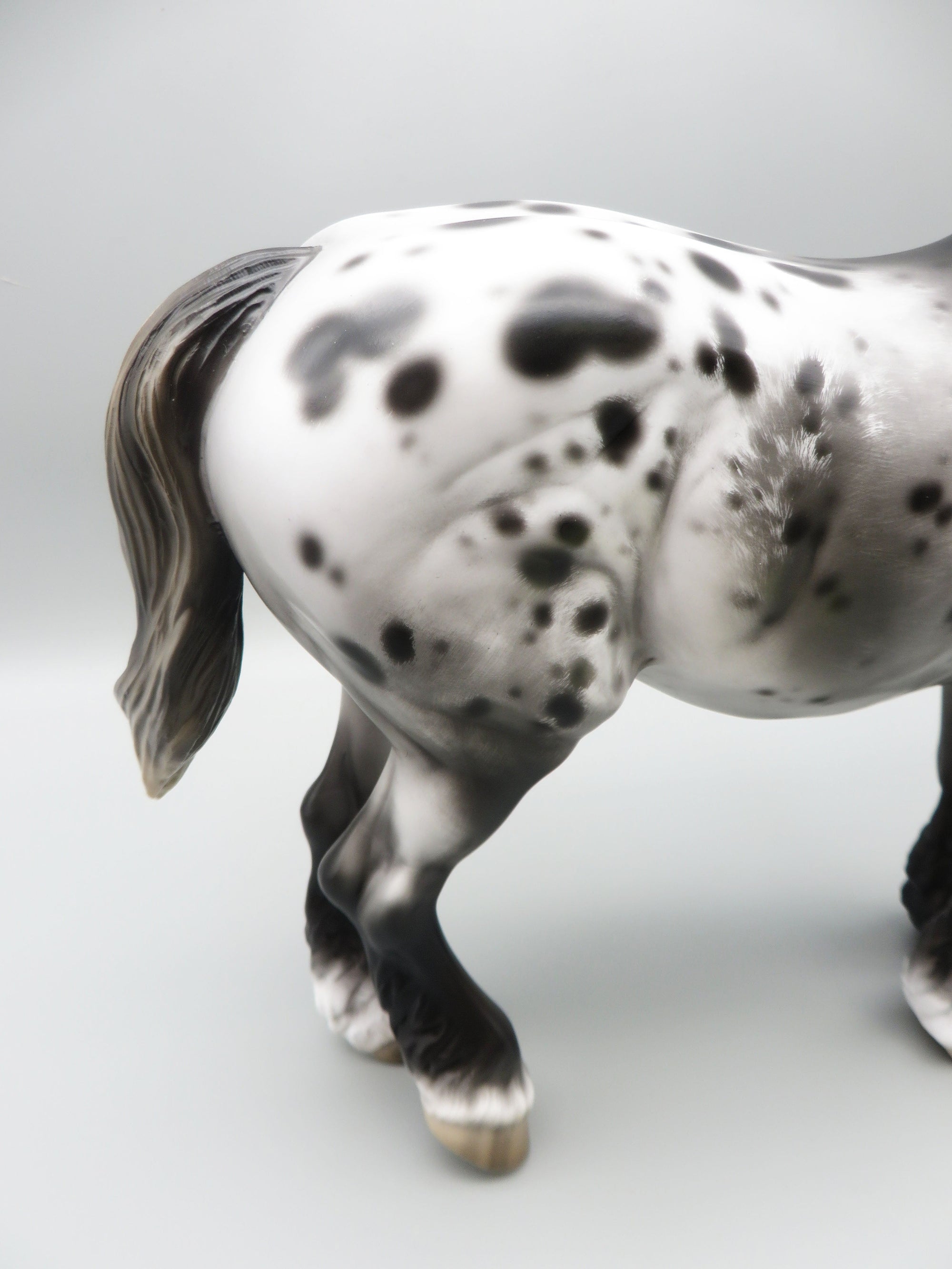 Rom - OOAK - Sugarbush Black Appaloosa Heavy Draft By Jess Hamill - Best Offer 5/30/23