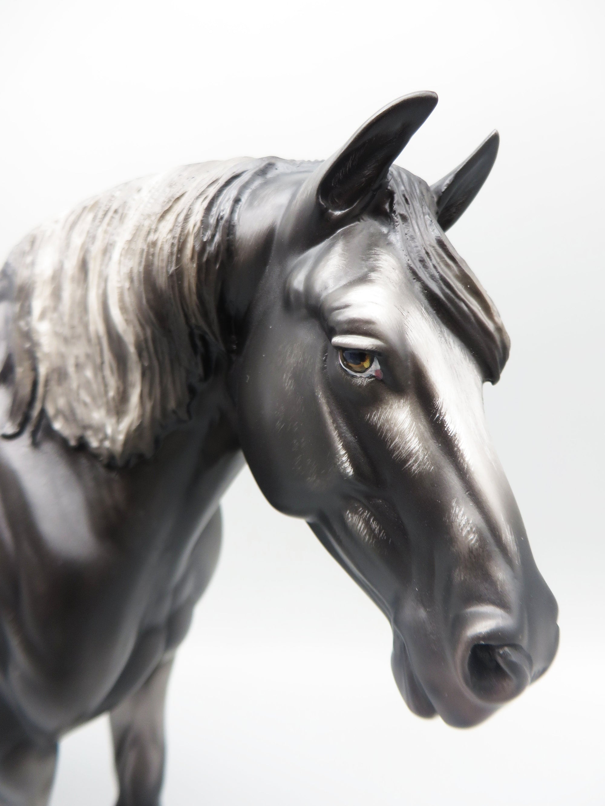 Rom - OOAK - Sugarbush Black Appaloosa Heavy Draft By Jess Hamill - Best Offer 5/30/23