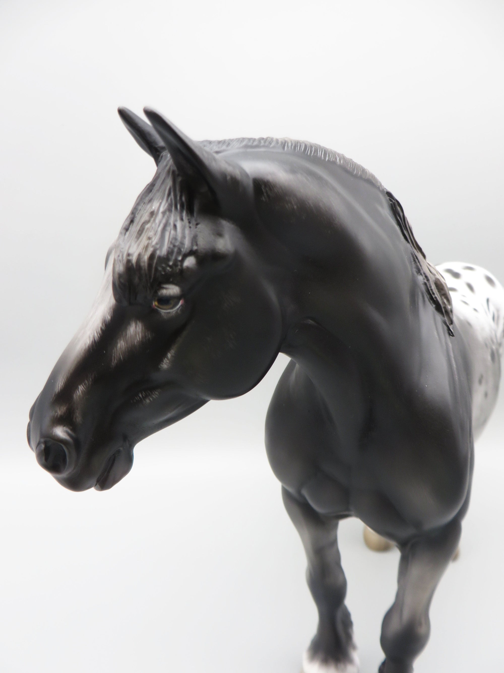 Rom - OOAK - Sugarbush Black Appaloosa Heavy Draft By Jess Hamill - Best Offer 5/30/23