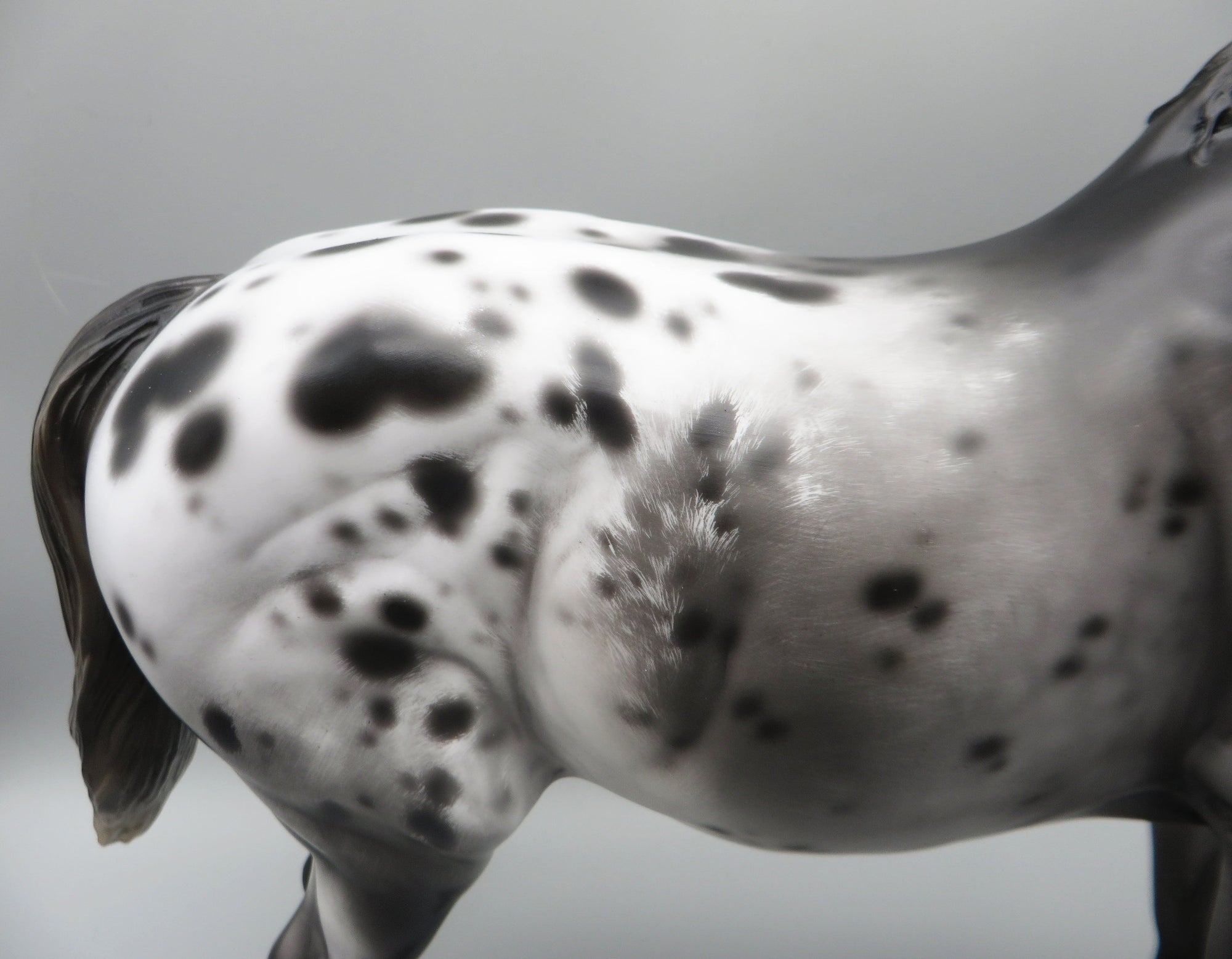 Rom - OOAK - Sugarbush Black Appaloosa Heavy Draft By Jess Hamill - Best Offer 5/30/23