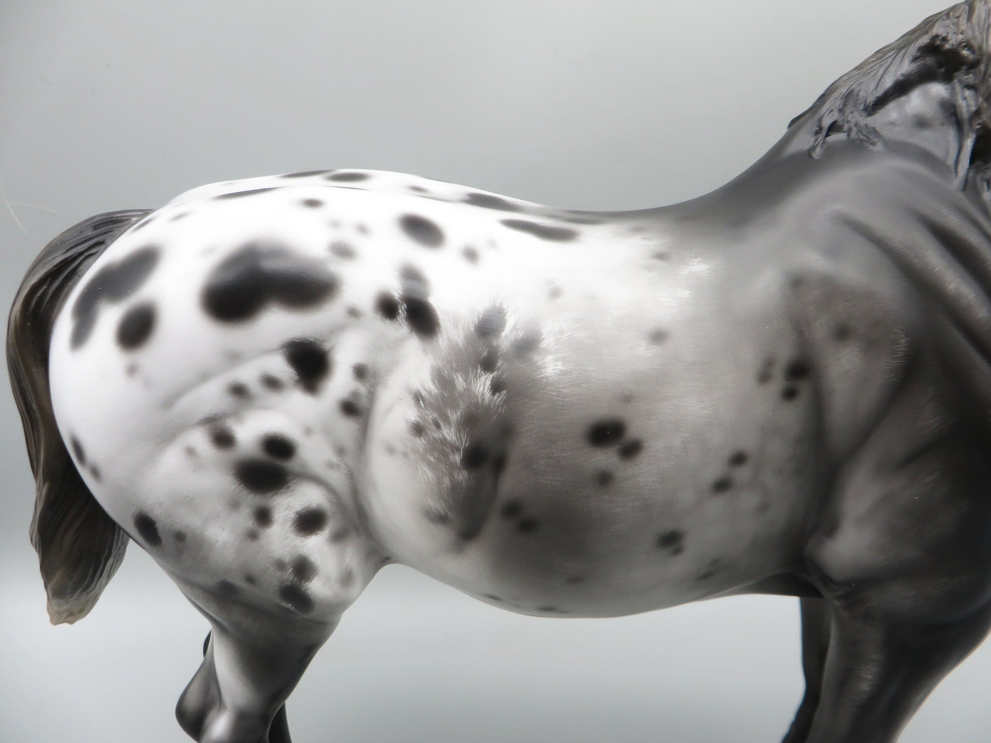 Rom - OOAK - Sugarbush Black Appaloosa Heavy Draft By Jess Hamill - Best Offer 5/30/23