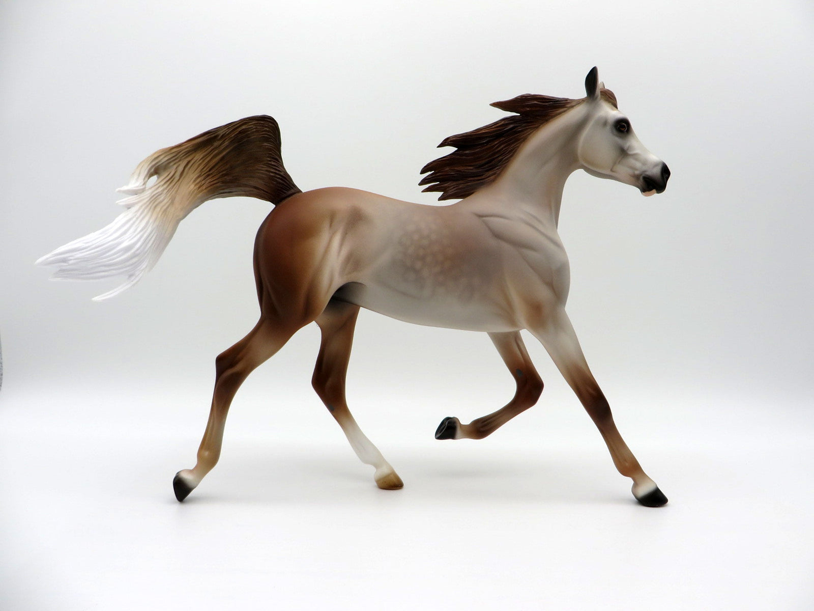 ROSE-LE-15 ROSE GREY YEARLING SHCF 2021