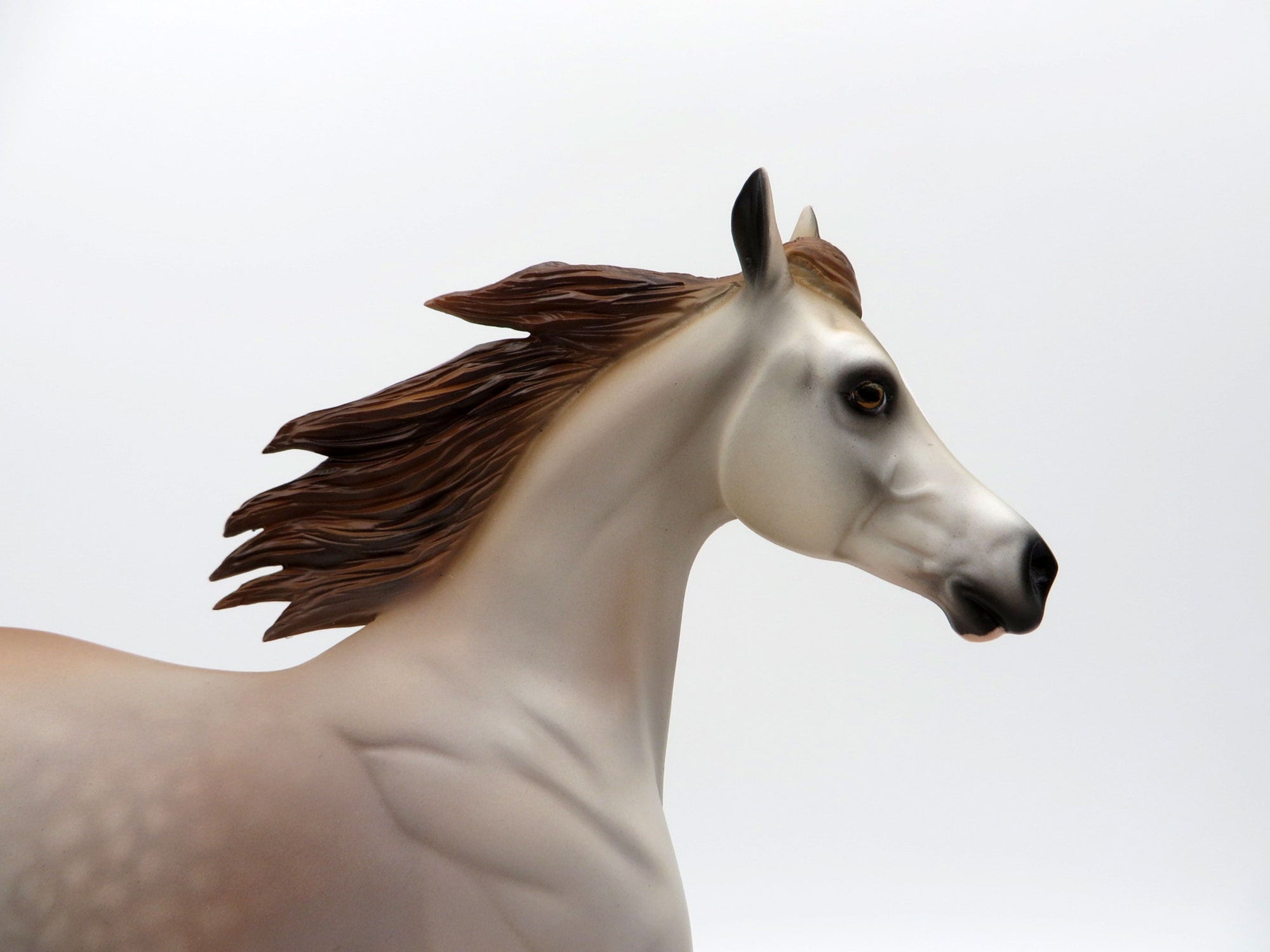 ROSE-LE-15 ROSE GREY YEARLING SHCF 2021