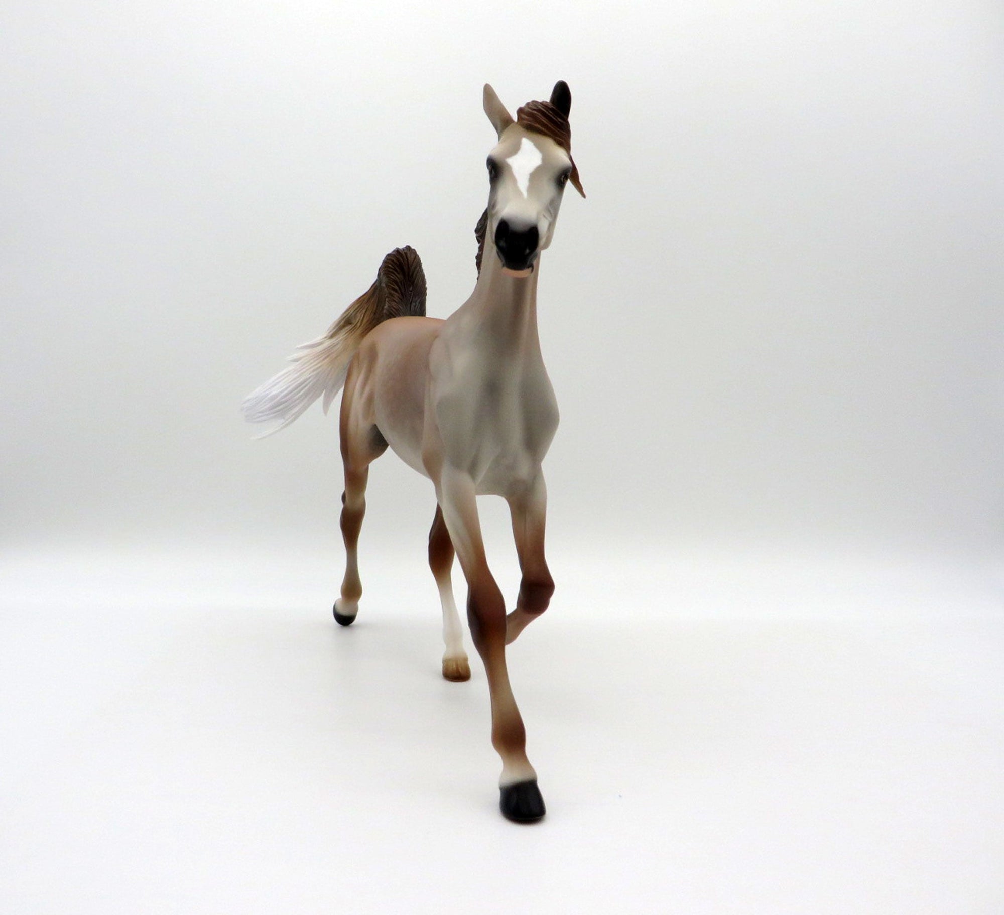 ROSE-LE-15 ROSE GREY YEARLING SHCF 2021