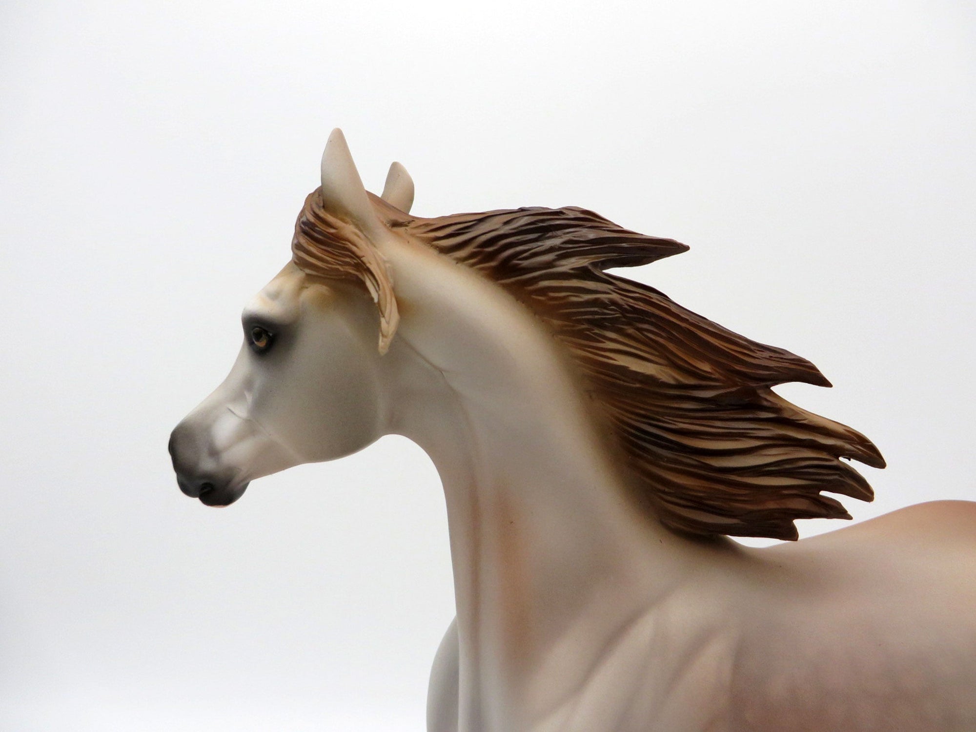 ROSE-LE-15 ROSE GREY YEARLING SHCF 2021