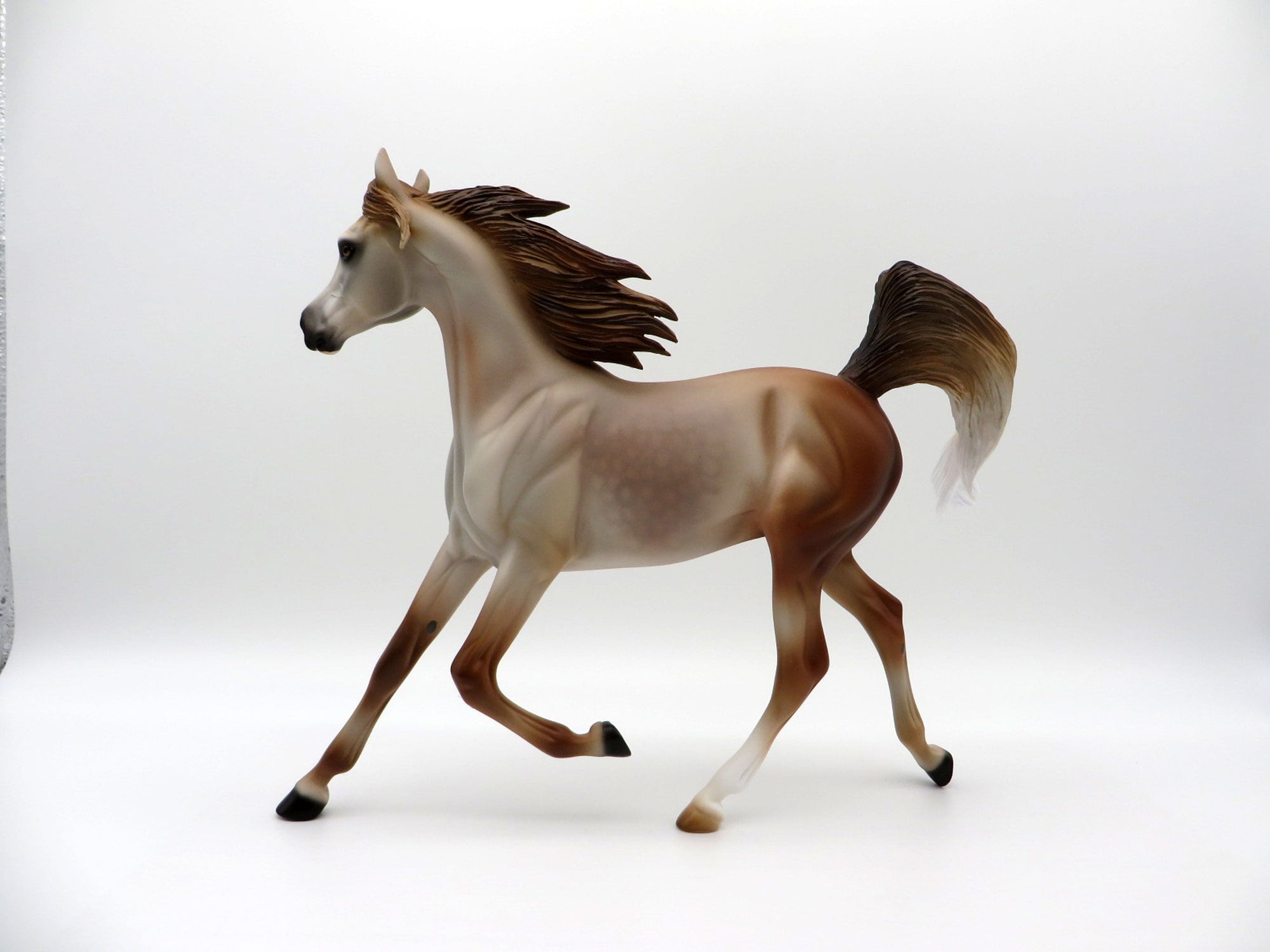 ROSE-LE-15 ROSE GREY YEARLING SHCF 2021