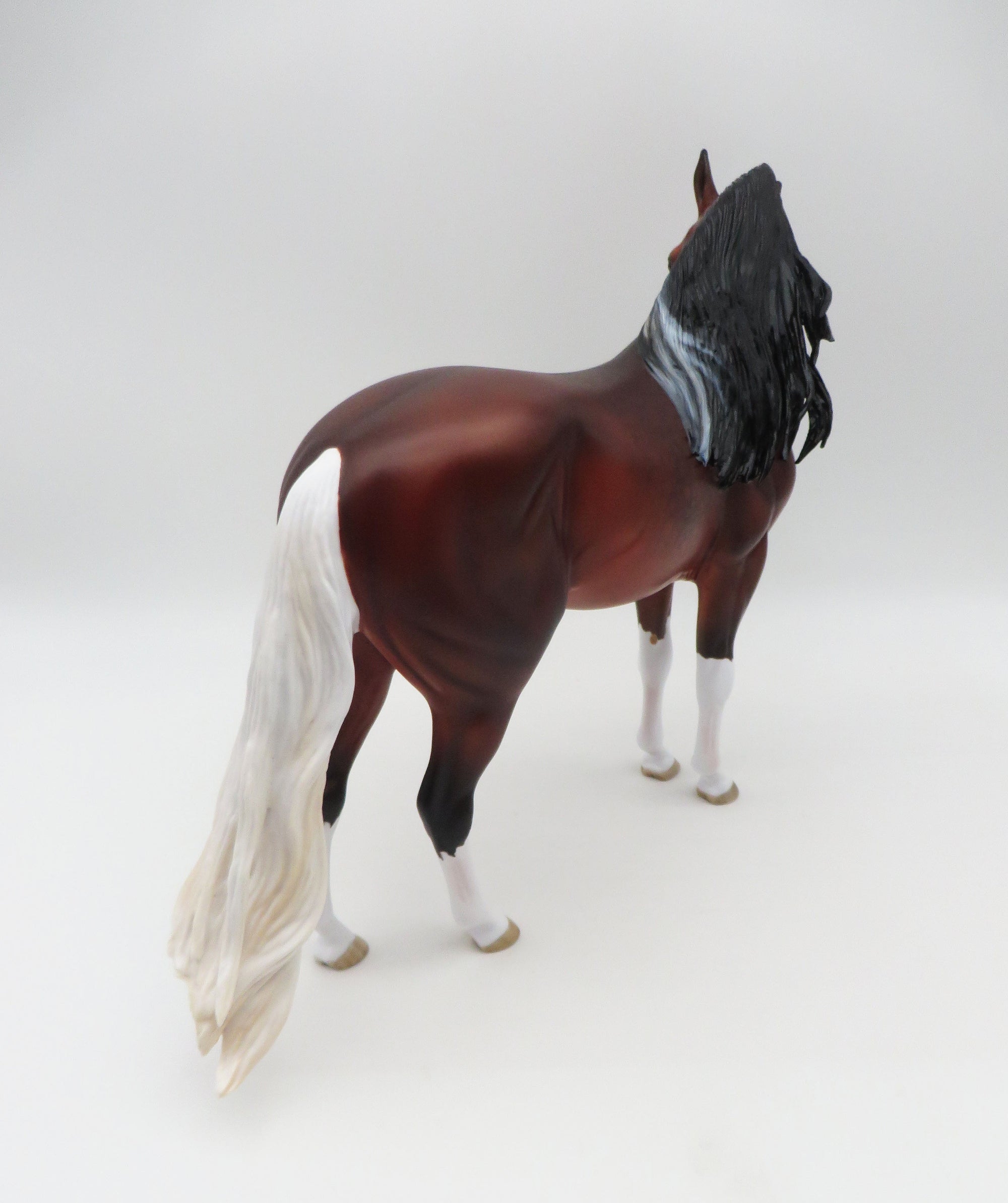 Rossport-OOAK Dapple Bay Paint Andalusian By Myla Pearce 5/19/23