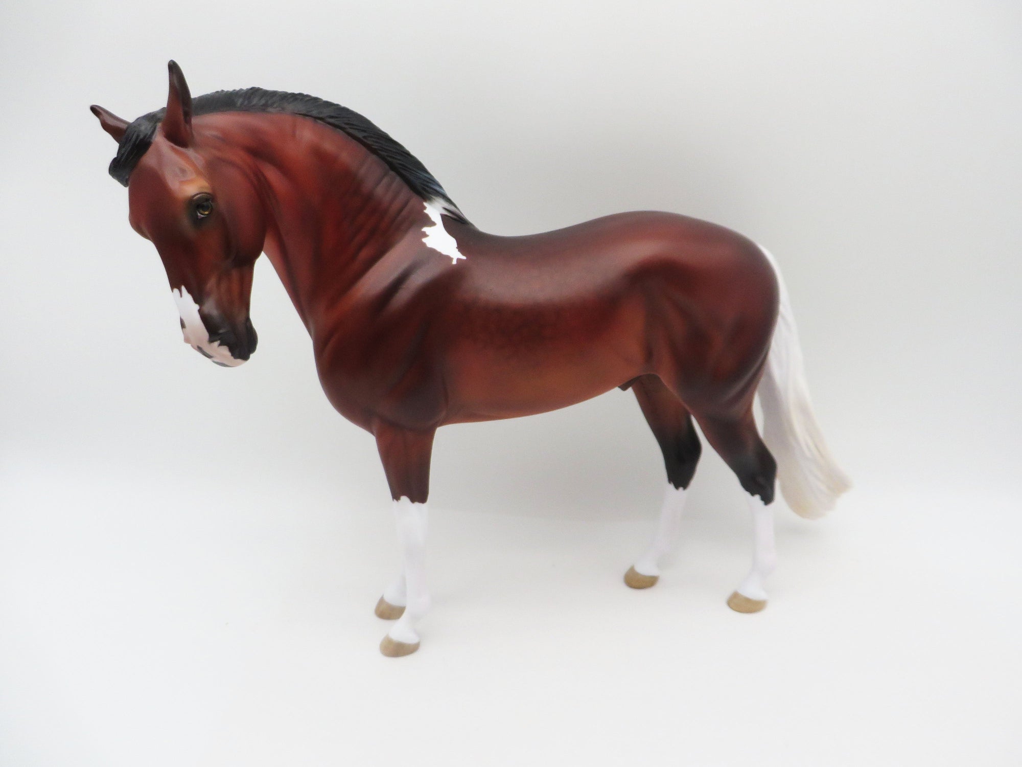 Rossport-OOAK Dapple Bay Paint Andalusian By Myla Pearce 5/19/23