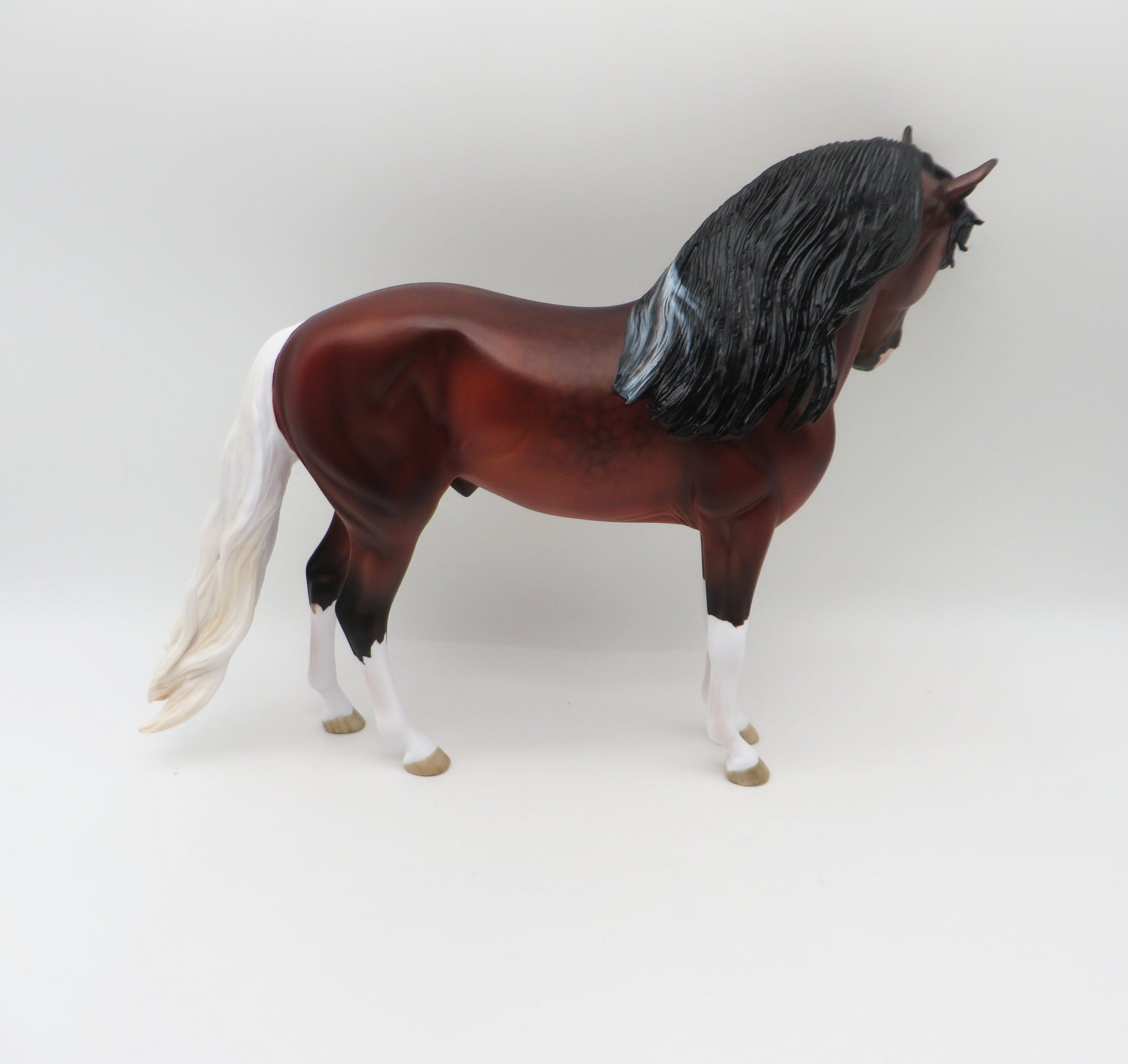 Rossport-OOAK Dapple Bay Paint Andalusian By Myla Pearce 5/19/23