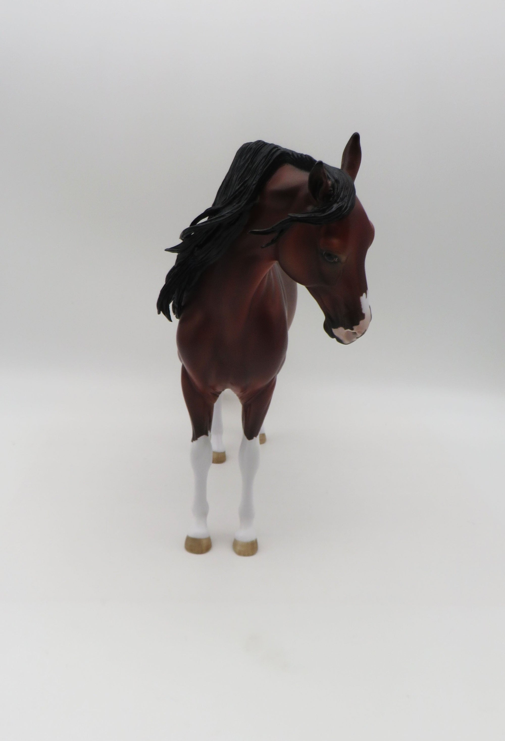 Rossport-OOAK Dapple Bay Paint Andalusian By Myla Pearce 5/19/23