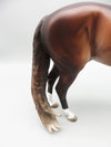 Rosus - OOAK - Dark Chestnut Andalusian By Jess Hamill - Best Offer 5/30/23