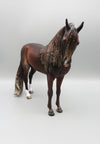 Rosus - OOAK - Dark Chestnut Andalusian By Jess Hamill - Best Offer 5/30/23