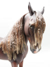 Rosus - OOAK - Dark Chestnut Andalusian By Jess Hamill - Best Offer 5/30/23