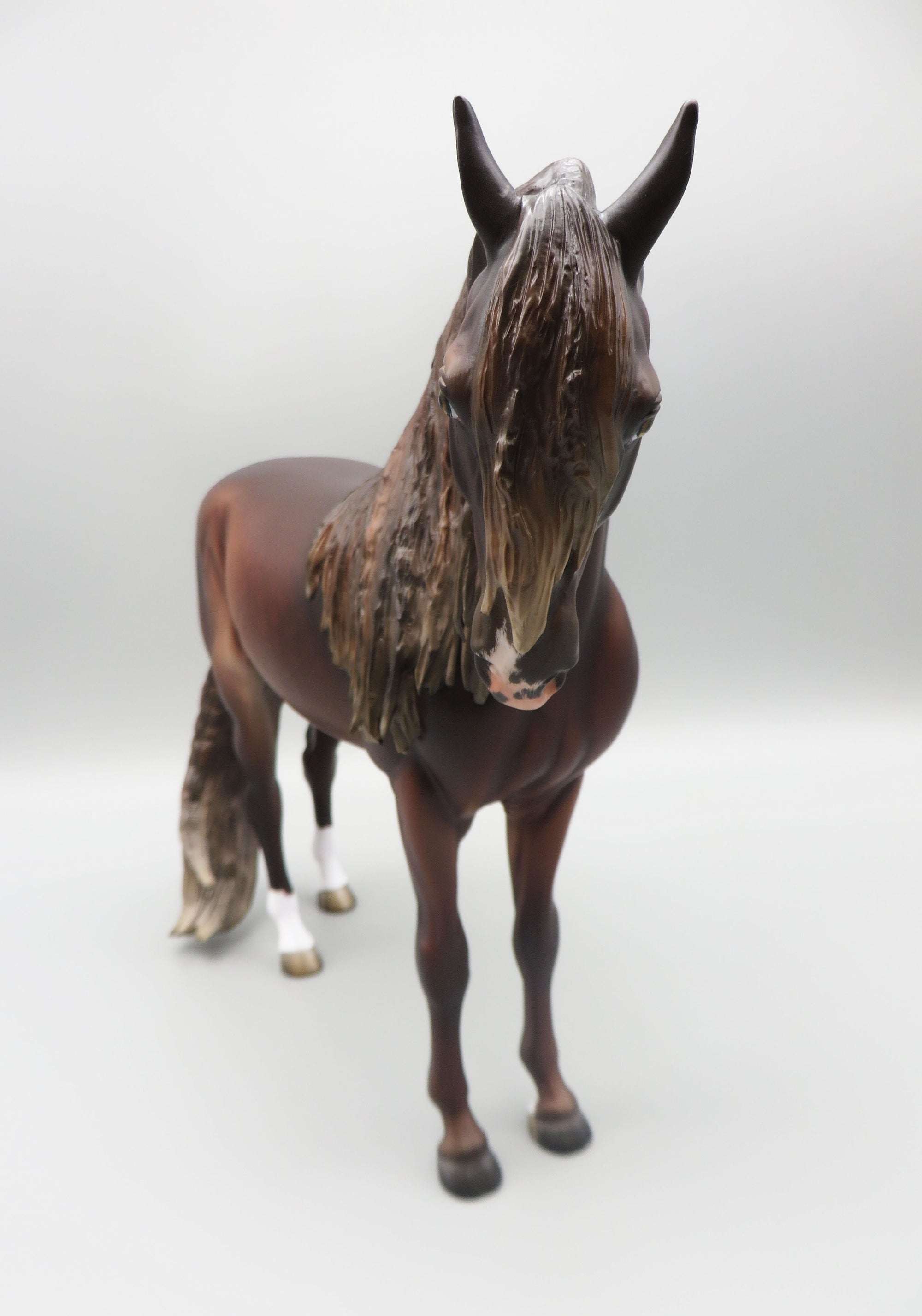 Rosus - OOAK - Dark Chestnut Andalusian By Jess Hamill - Best Offer 5/30/23