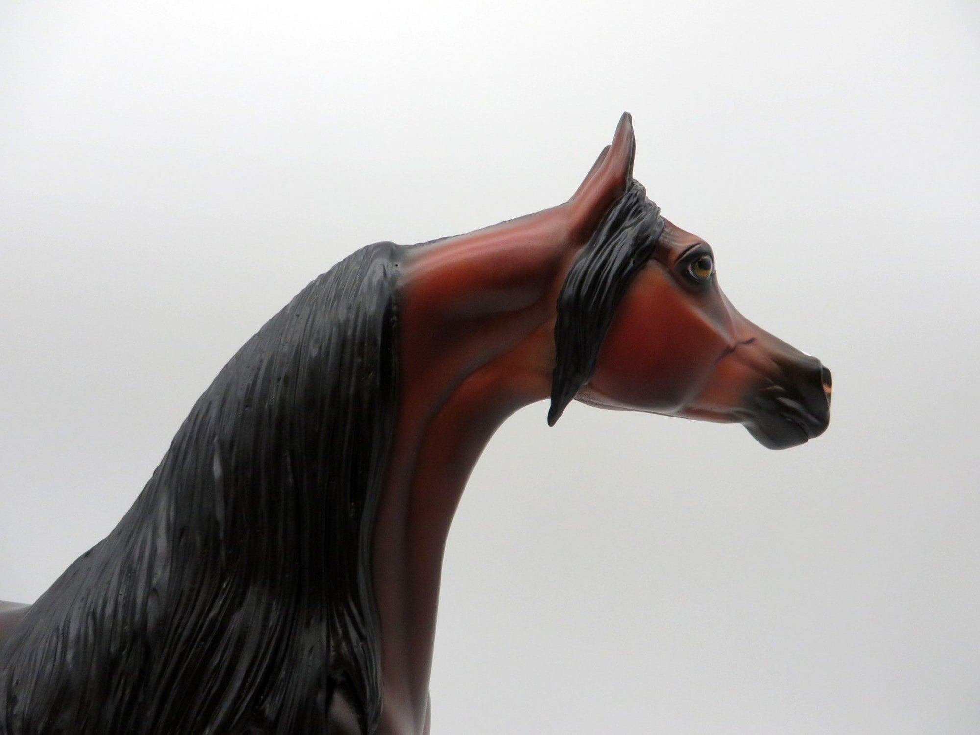 Rowling-OOAK Dapple Bay Arabian Painted By Carrie Keller  EQ 21