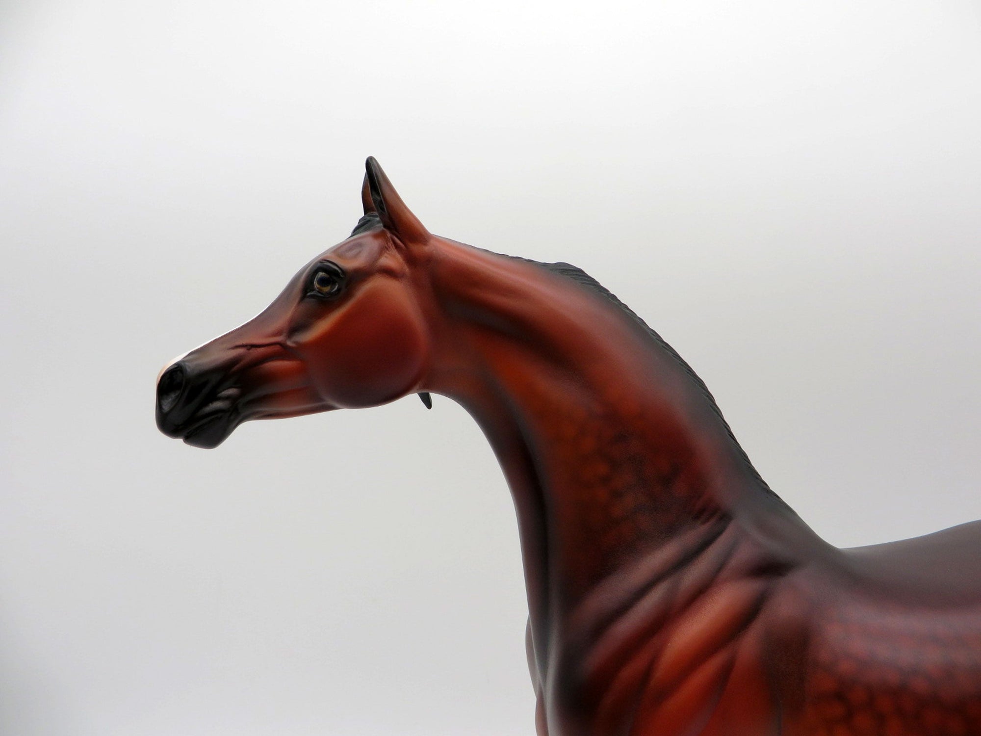 Rowling-OOAK Dapple Bay Arabian Painted By Carrie Keller  EQ 21