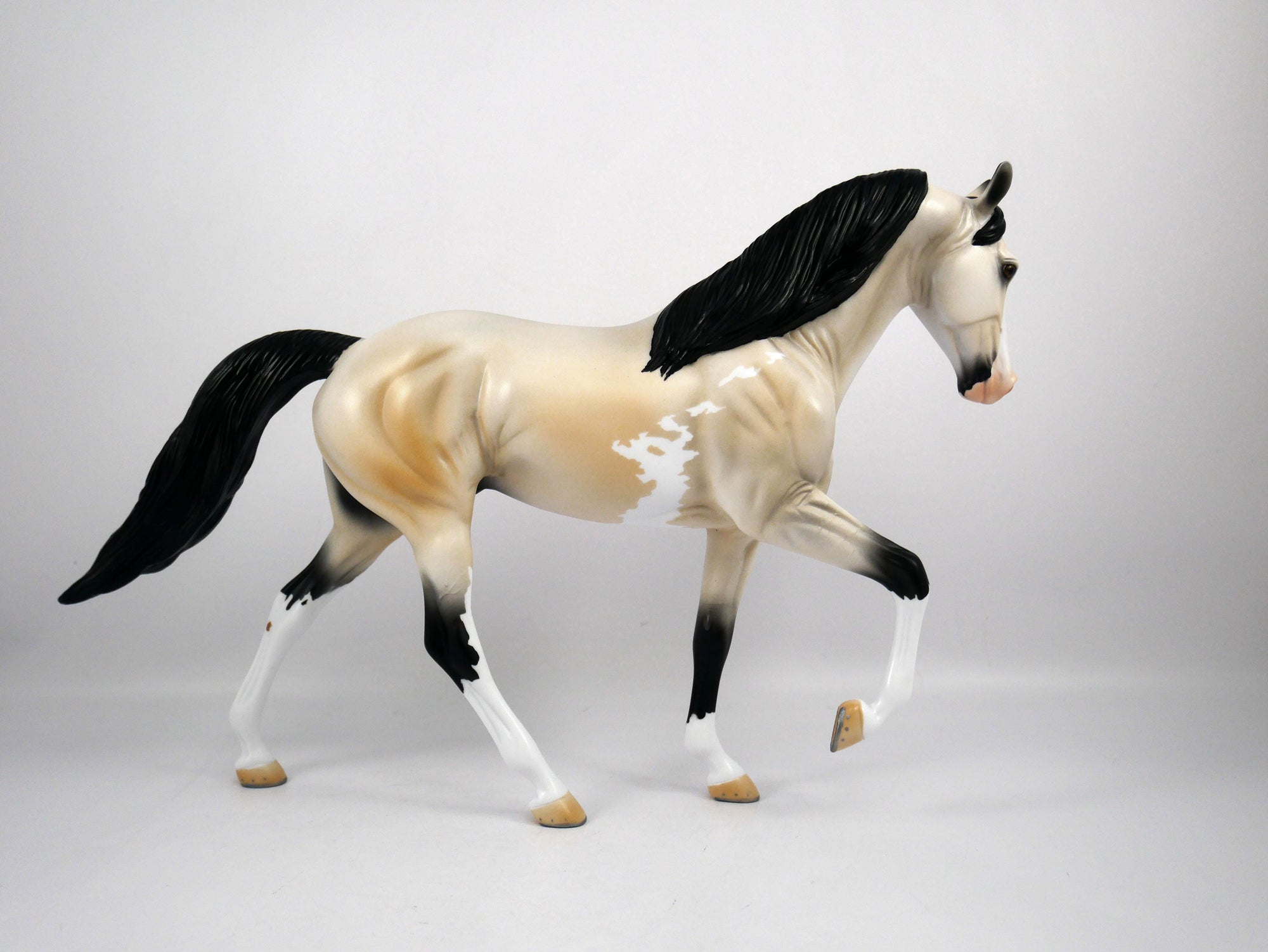 Roy-OOAK Buckskin Paint Tennessee Walker by Ellen 1/29/21