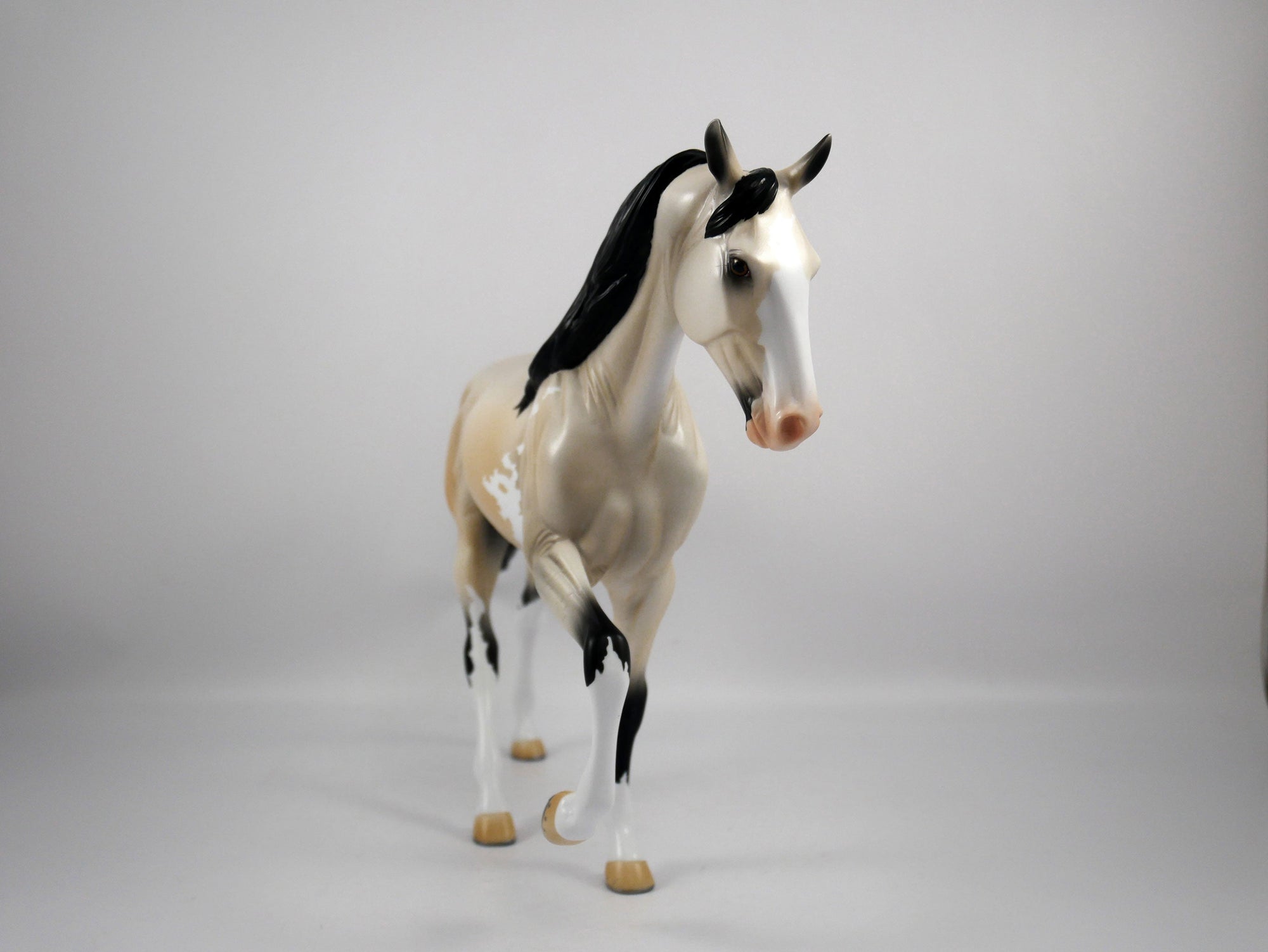 Roy-OOAK Buckskin Paint Tennessee Walker by Ellen 1/29/21