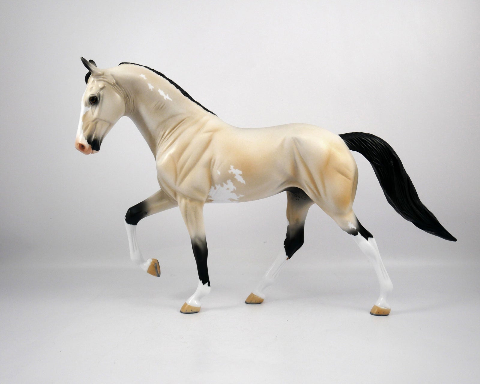 Roy-OOAK Buckskin Paint Tennessee Walker by Ellen 1/29/21