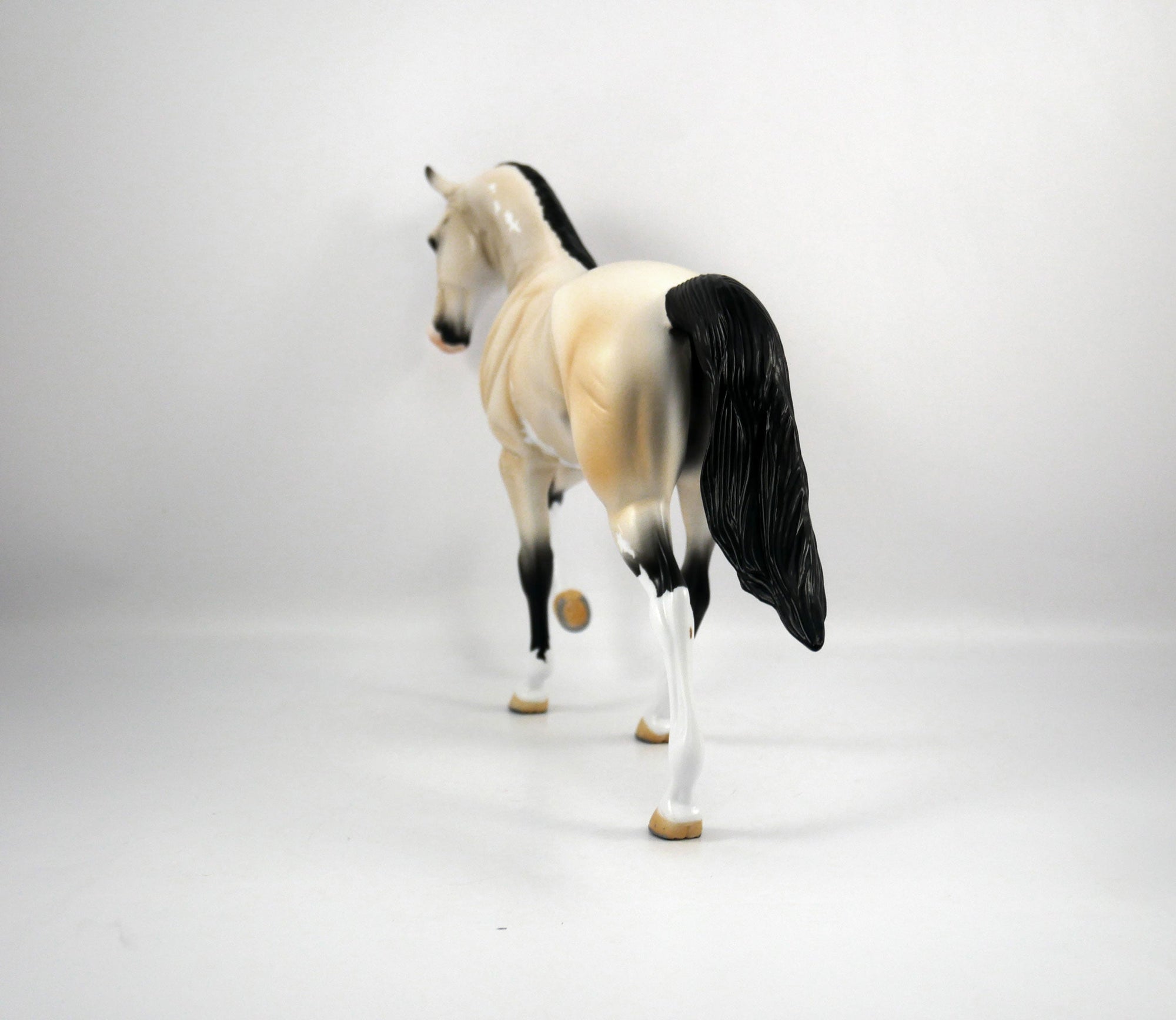 Roy-OOAK Buckskin Paint Tennessee Walker by Ellen 1/29/21