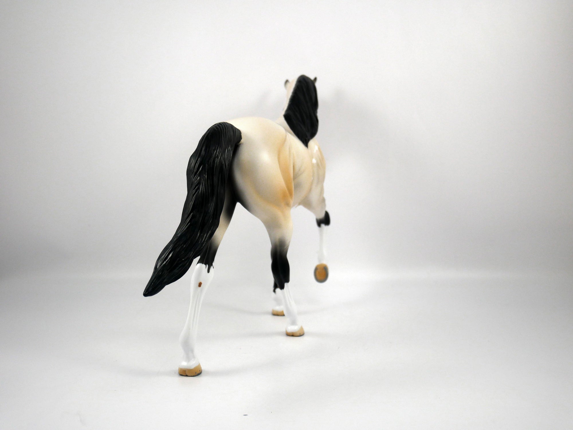 Roy-OOAK Buckskin Paint Tennessee Walker by Ellen 1/29/21