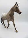 Royal Jasmine - OOAK - Chestnut Appaloosa Palouse by Sheryl Leisure - Best Offers 4/10/23