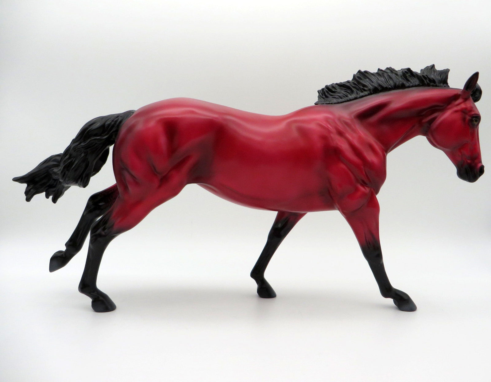 Ruby-LE-? Loyalty Running Stock Horse Precious Stone EQ 2021