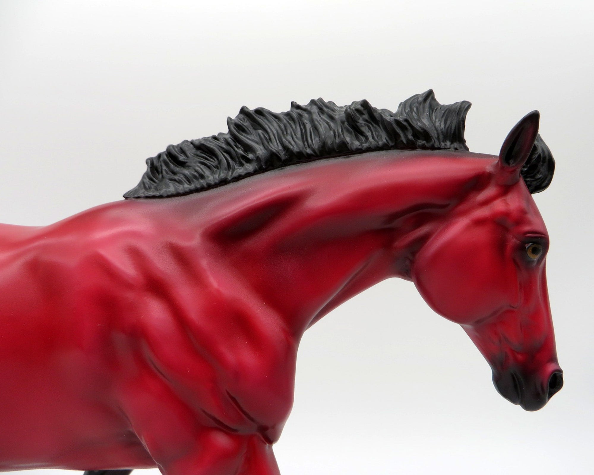 Ruby-LE-? Loyalty Running Stock Horse Precious Stone EQ 2021