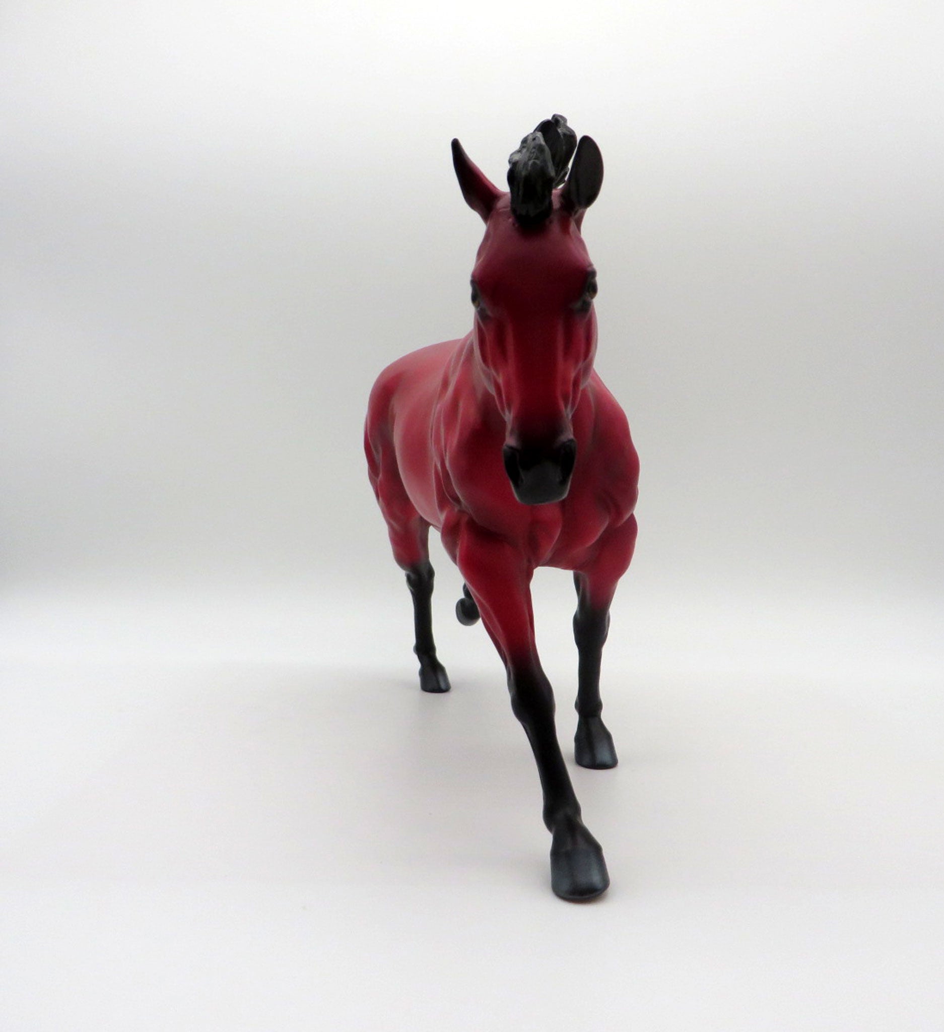 Ruby-LE-? Loyalty Running Stock Horse Precious Stone EQ 2021