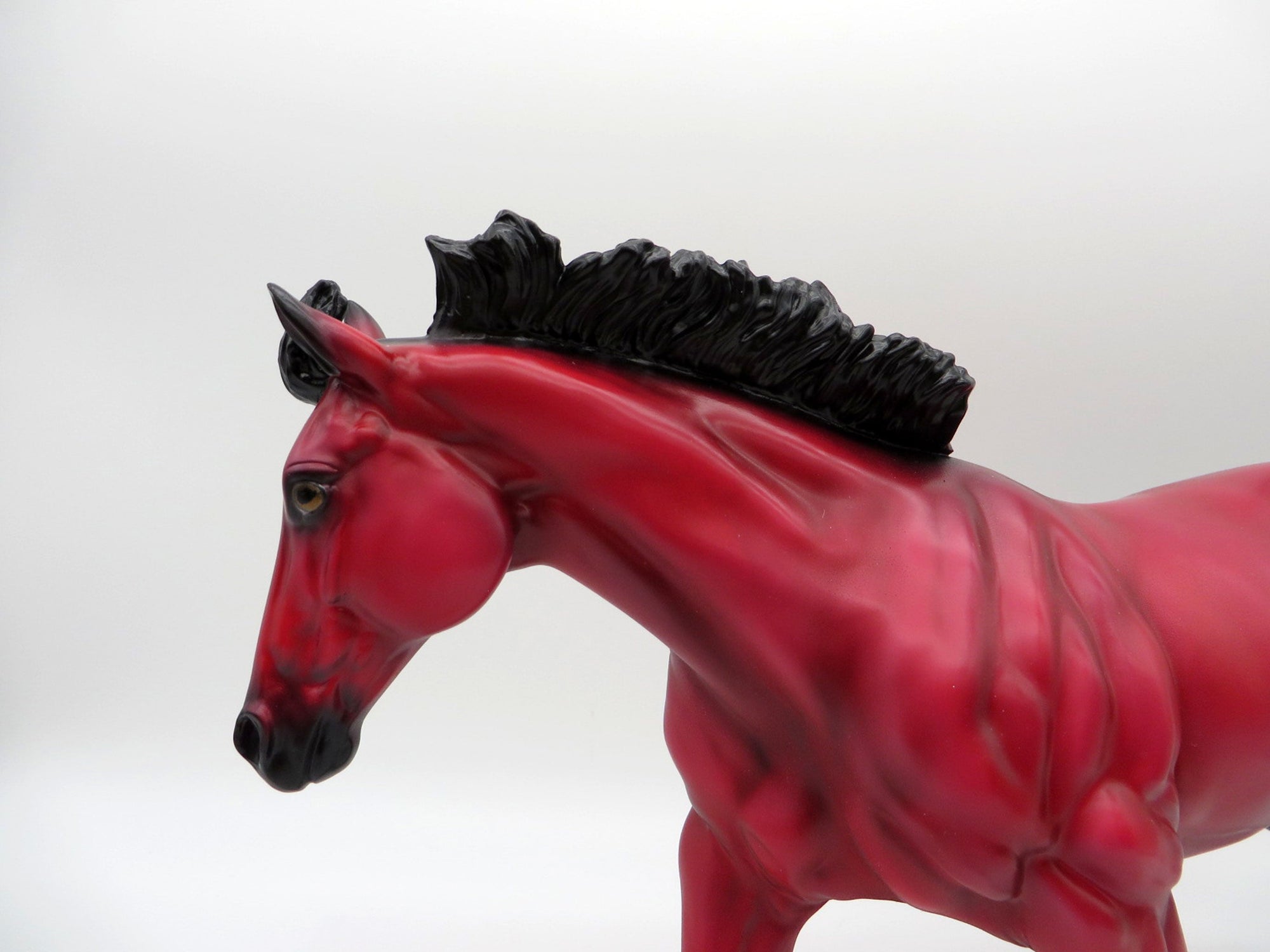 Ruby-LE-? Loyalty Running Stock Horse Precious Stone EQ 2021