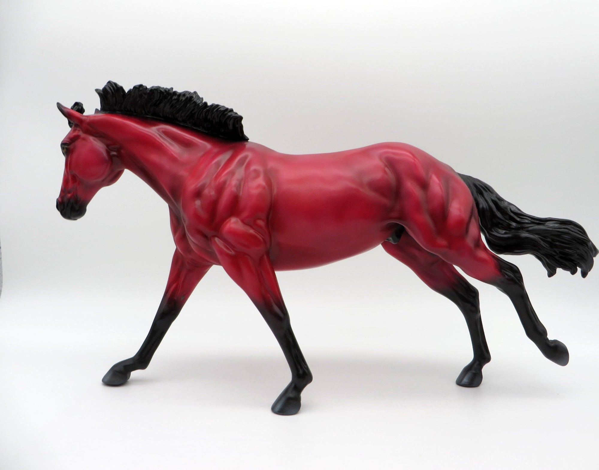 Ruby-LE-? Loyalty Running Stock Horse Precious Stone EQ 2021