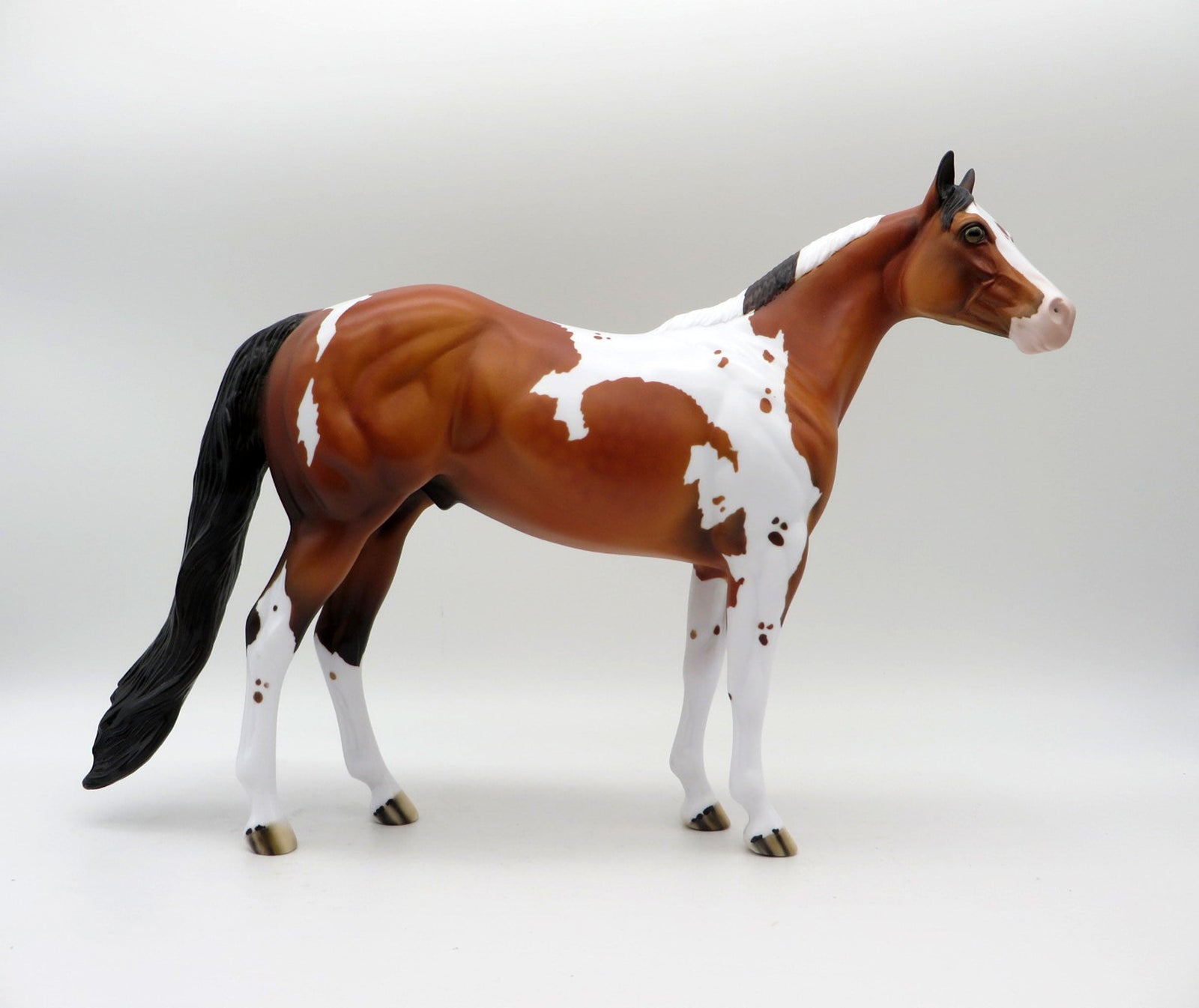 Ruger-LE-3 Dapple Bay Pinto By Dawn Quick  ISH 5/21/21