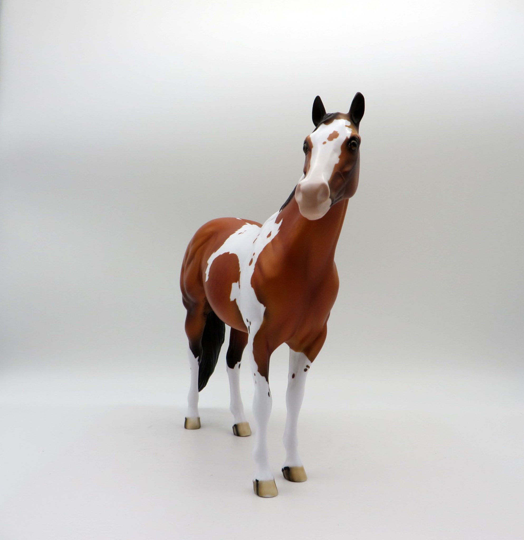 Ruger-LE-3 Dapple Bay Pinto By Dawn Quick  ISH 5/21/21