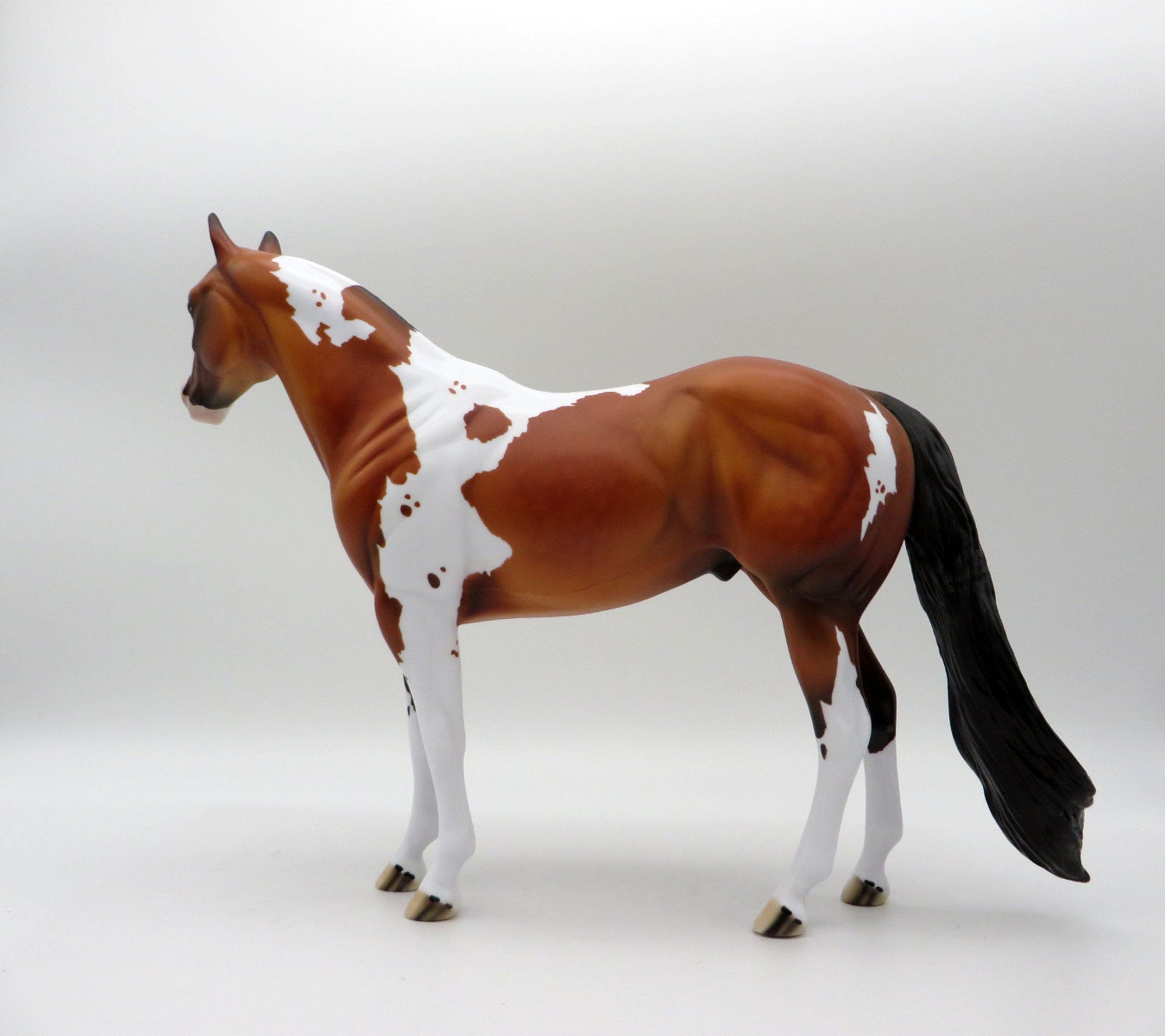 Ruger-LE-3 Dapple Bay Pinto By Dawn Quick  ISH 5/21/21