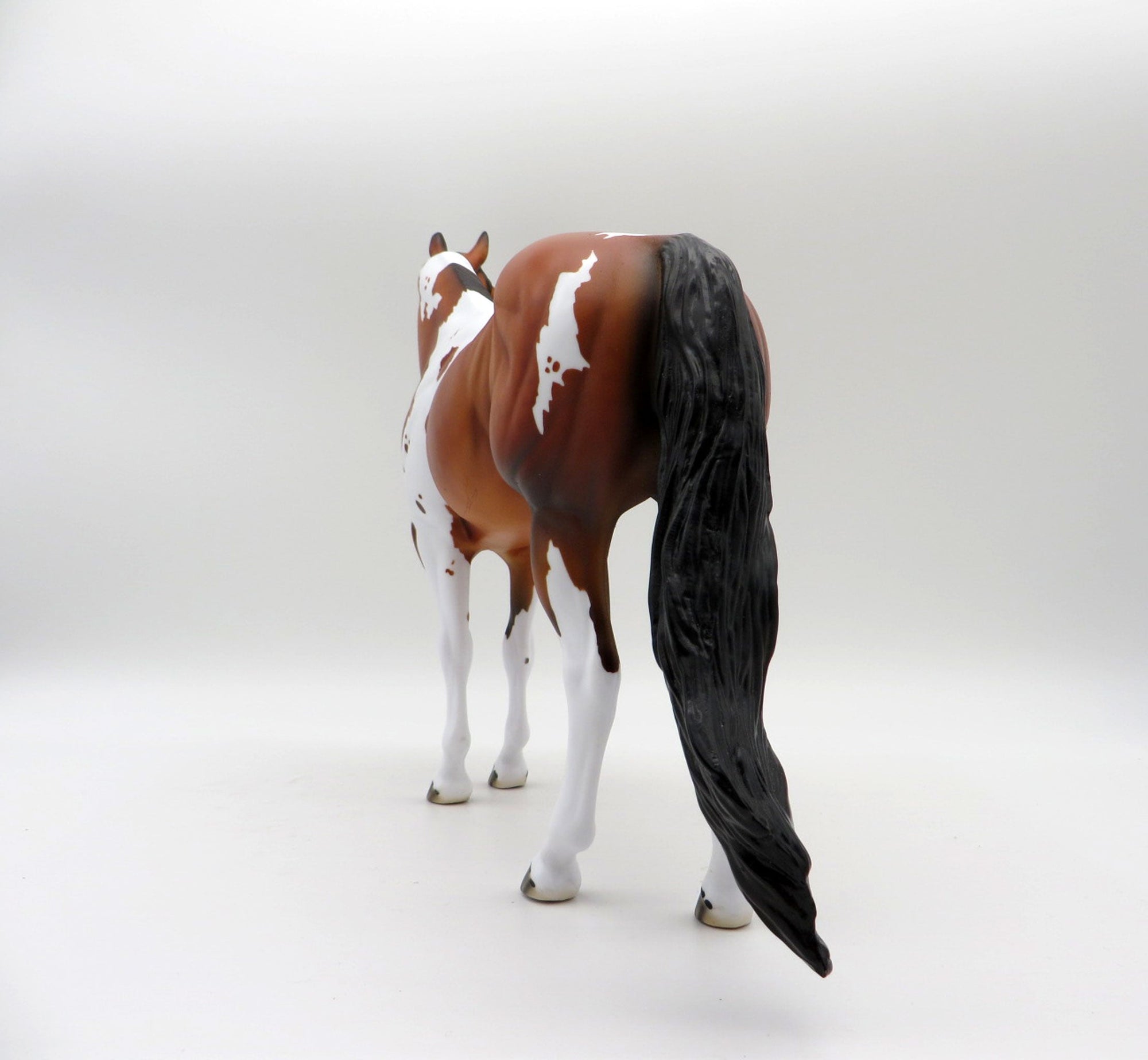 Ruger-LE-3 Dapple Bay Pinto By Dawn Quick  ISH 5/21/21