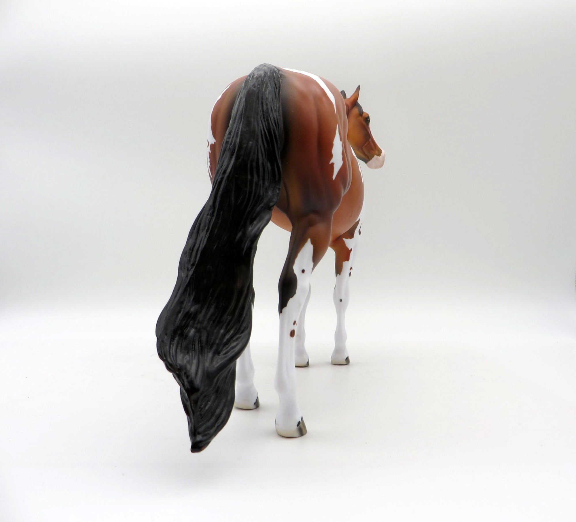 Ruger-LE-3 Dapple Bay Pinto By Dawn Quick  ISH 5/21/21