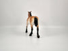 Rummy-Dapple Bay Trotting Drafter Pebbles Sheryl Leisure 12/21/20