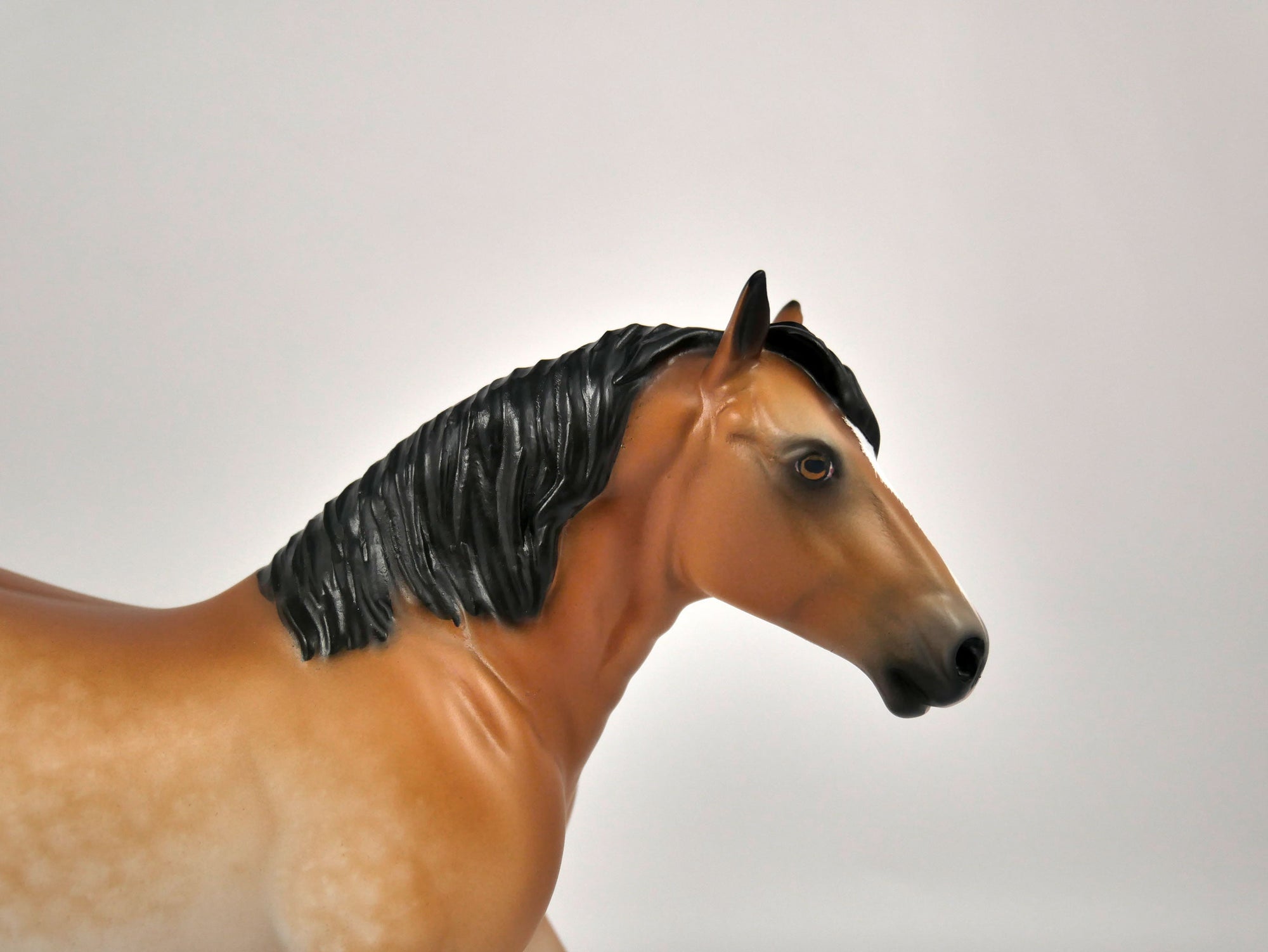 Rummy-Dapple Bay Trotting Drafter Pebbles Sheryl Leisure 12/21/20